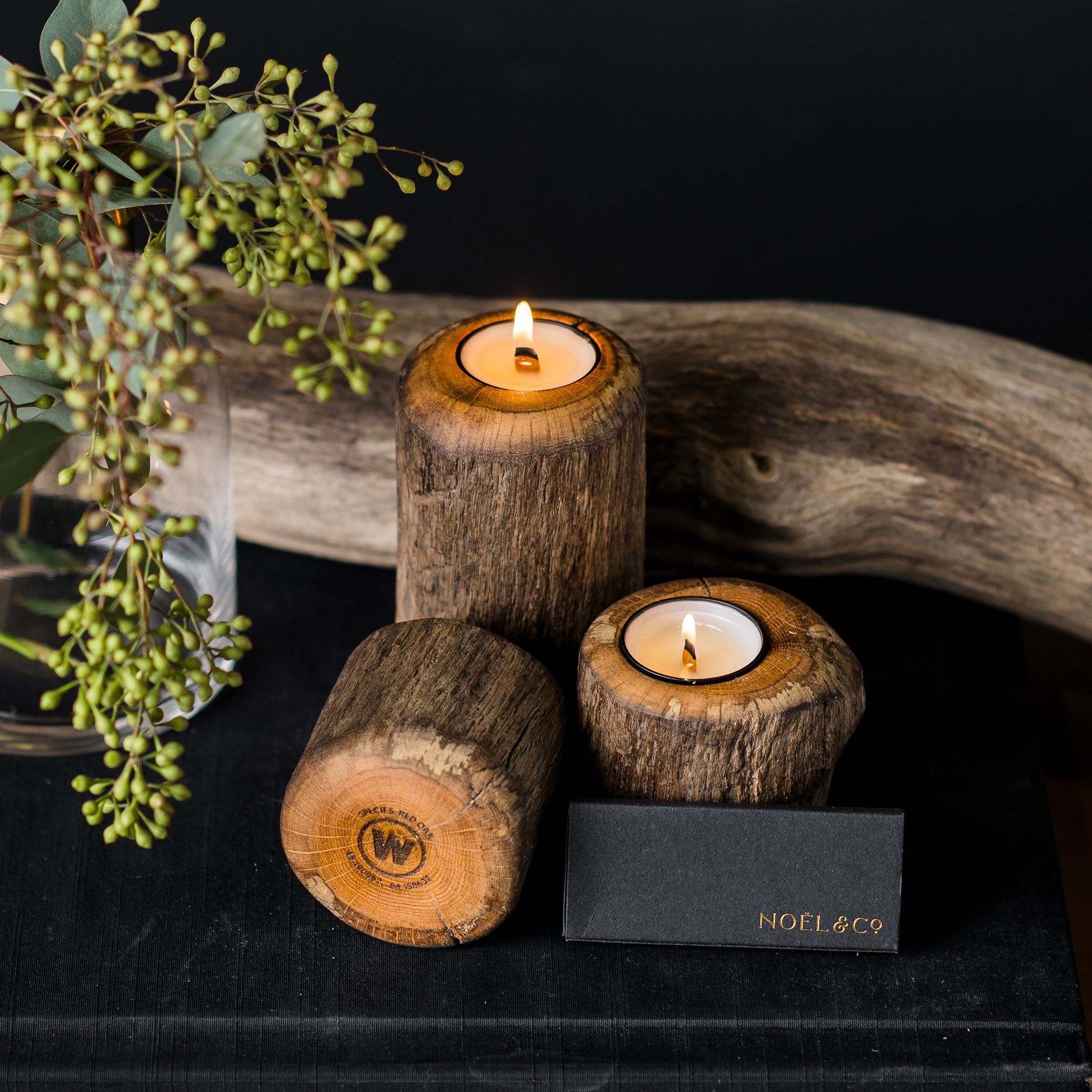 Photophores en chêne rouge