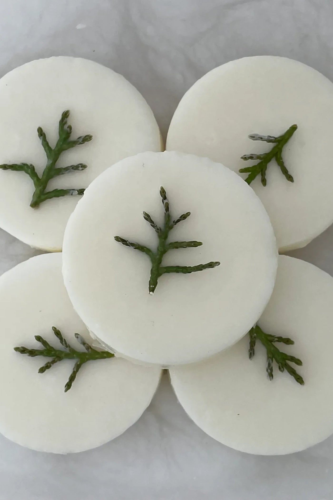 Multiple white wax melts with pieces from the scent profile in the wax.