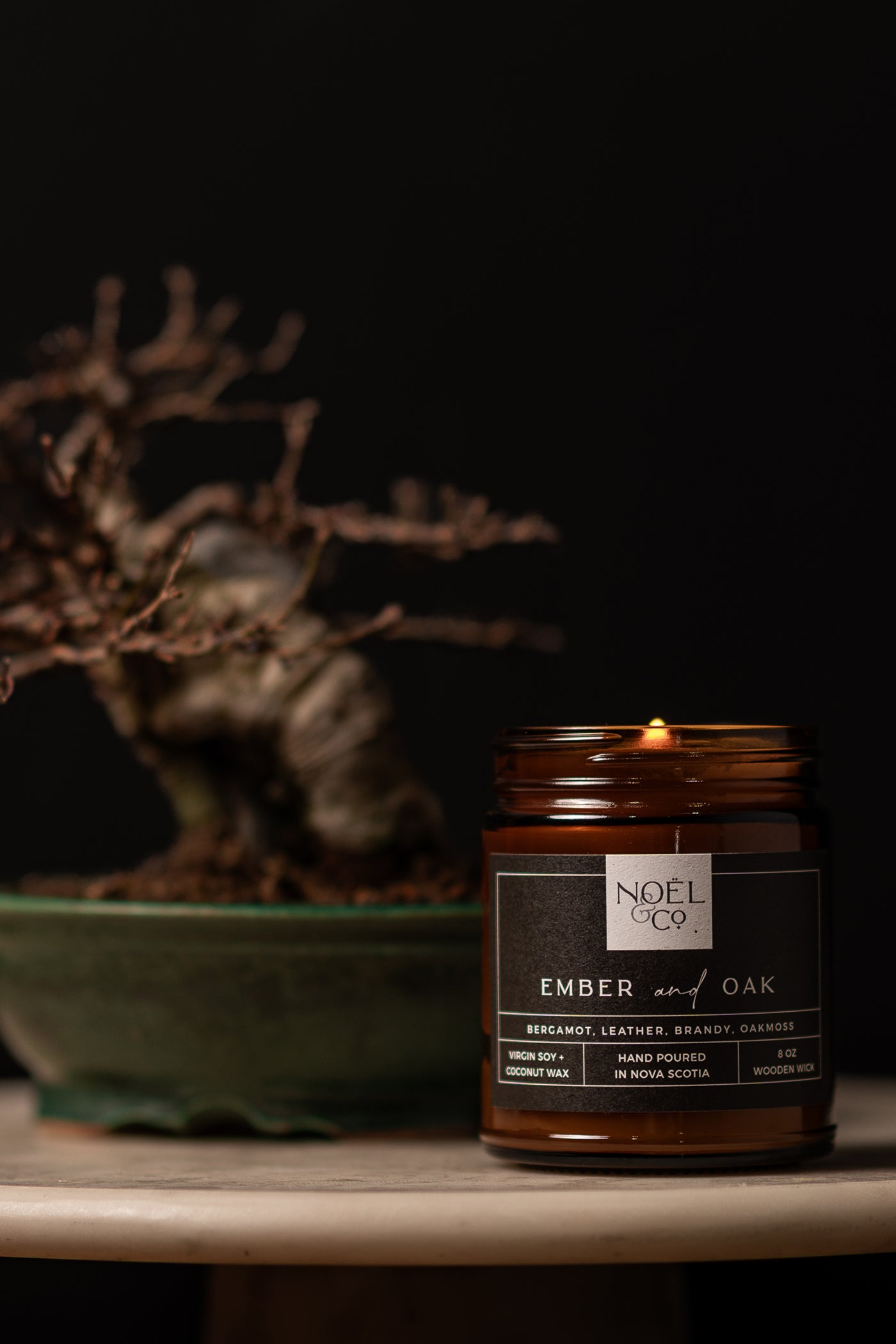 A lit Noel and Co candle in an amber glass jar next to a plant.