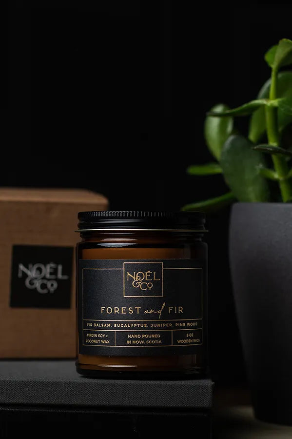 A scented candle jar with a black lid labeled 'Forest & Fir' from Noel & Co, placed on a dark surface with a plant in the background.
