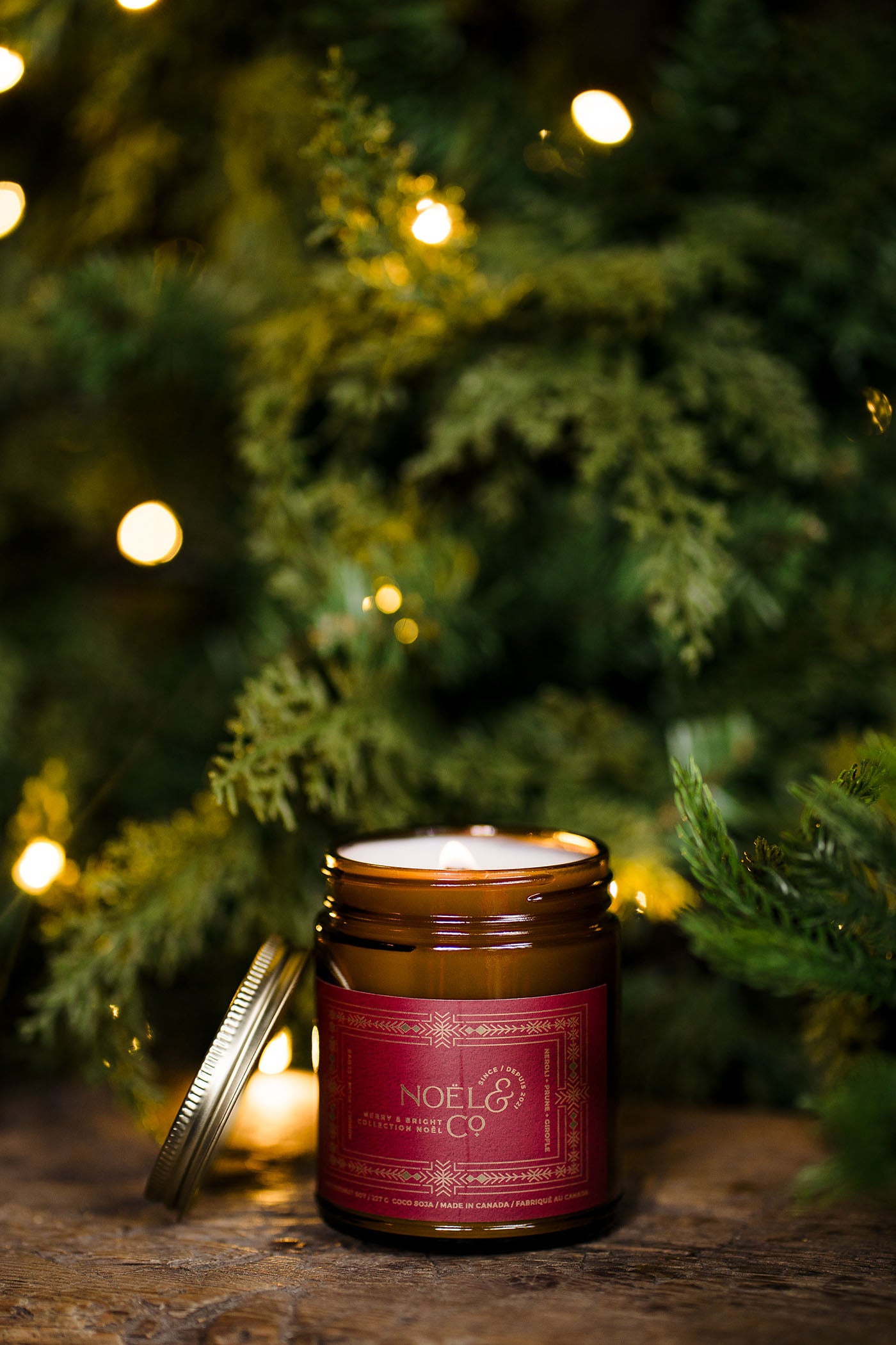 Merry & Bright