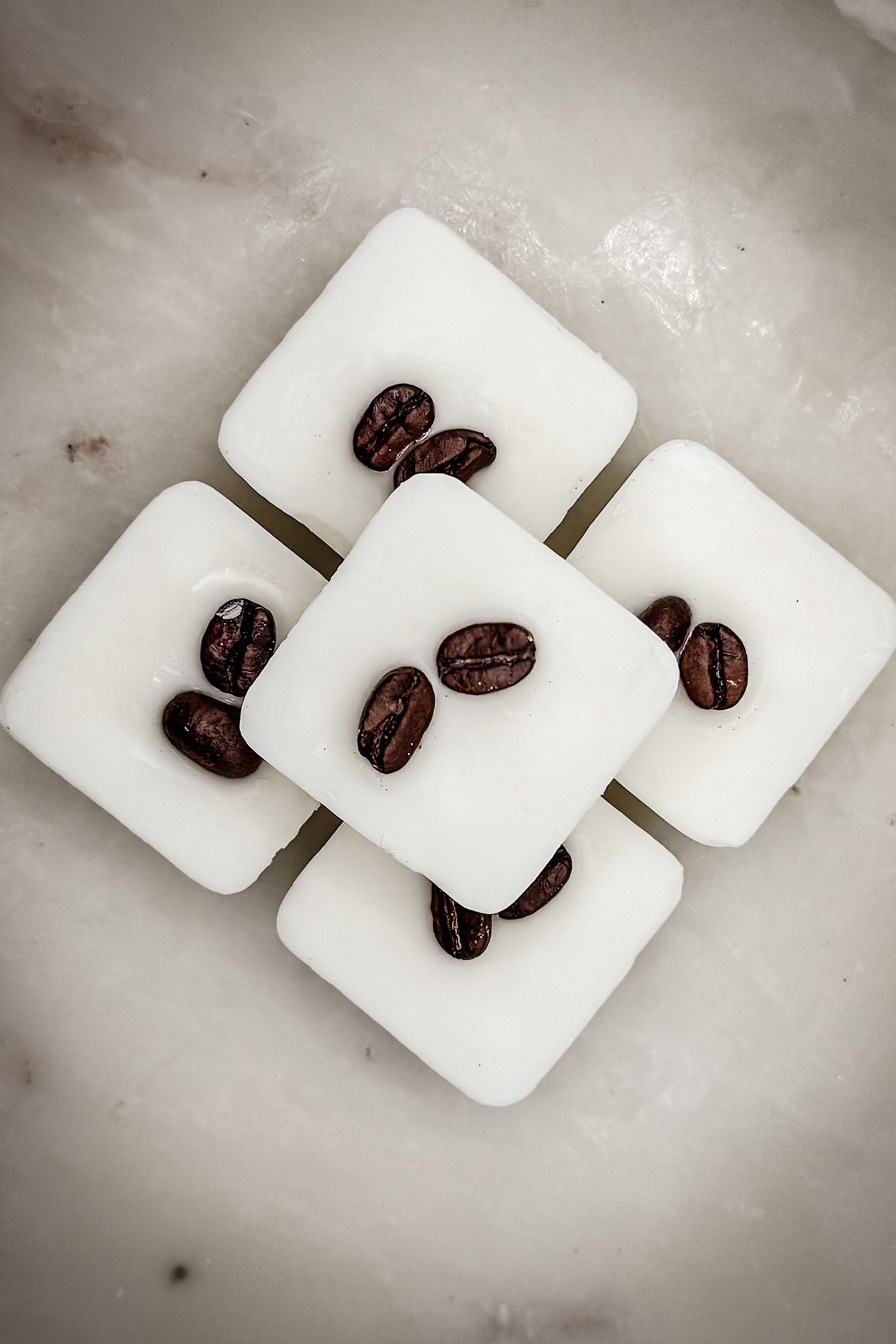Coffee & Cacao