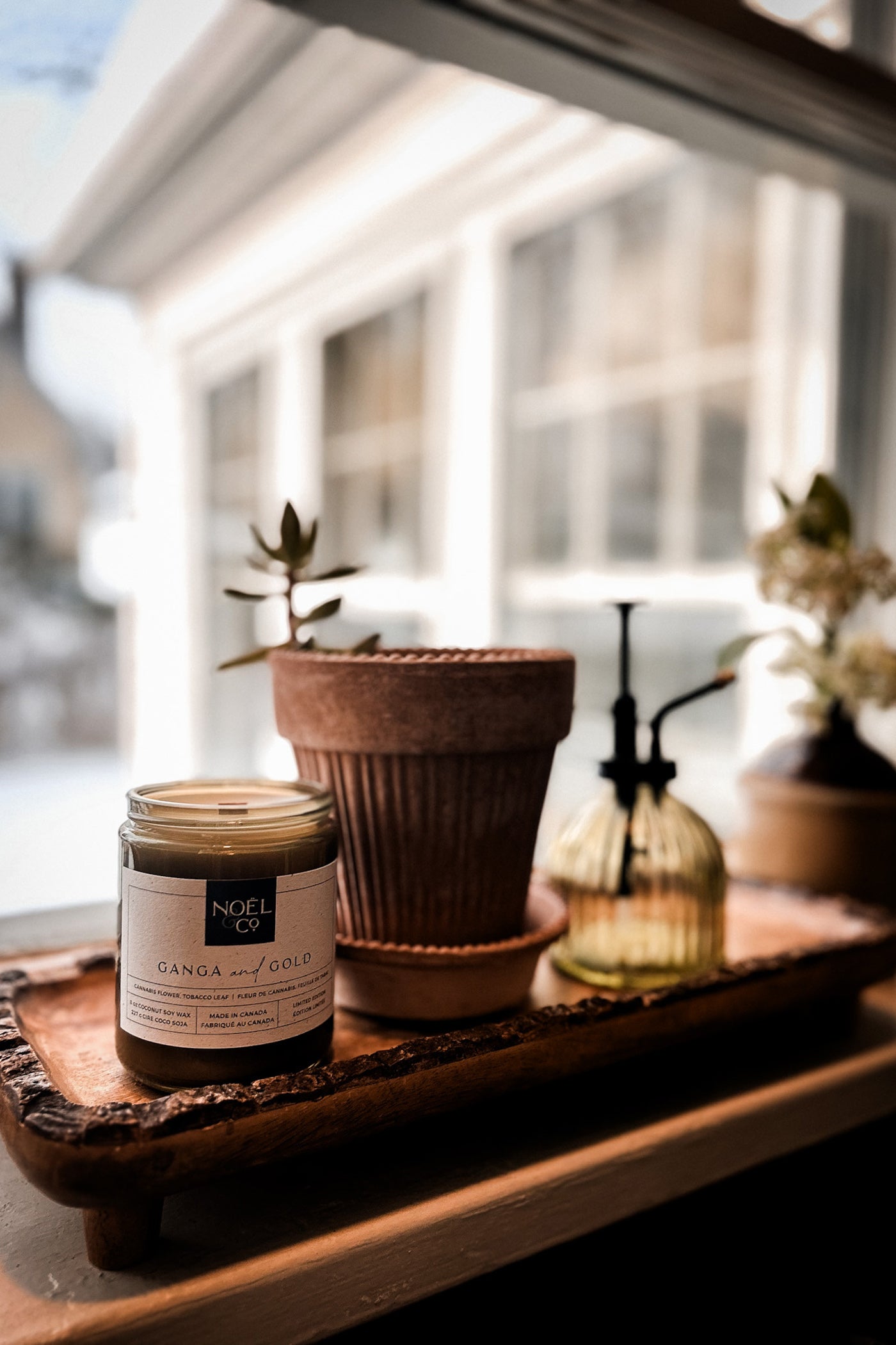 Citrouille &amp; Praliné