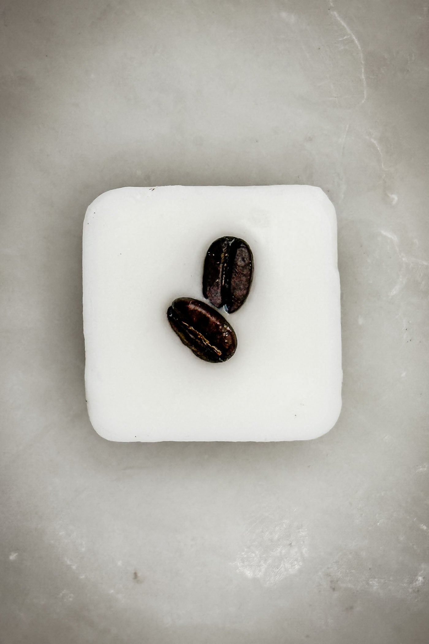 Coffee & Cacao