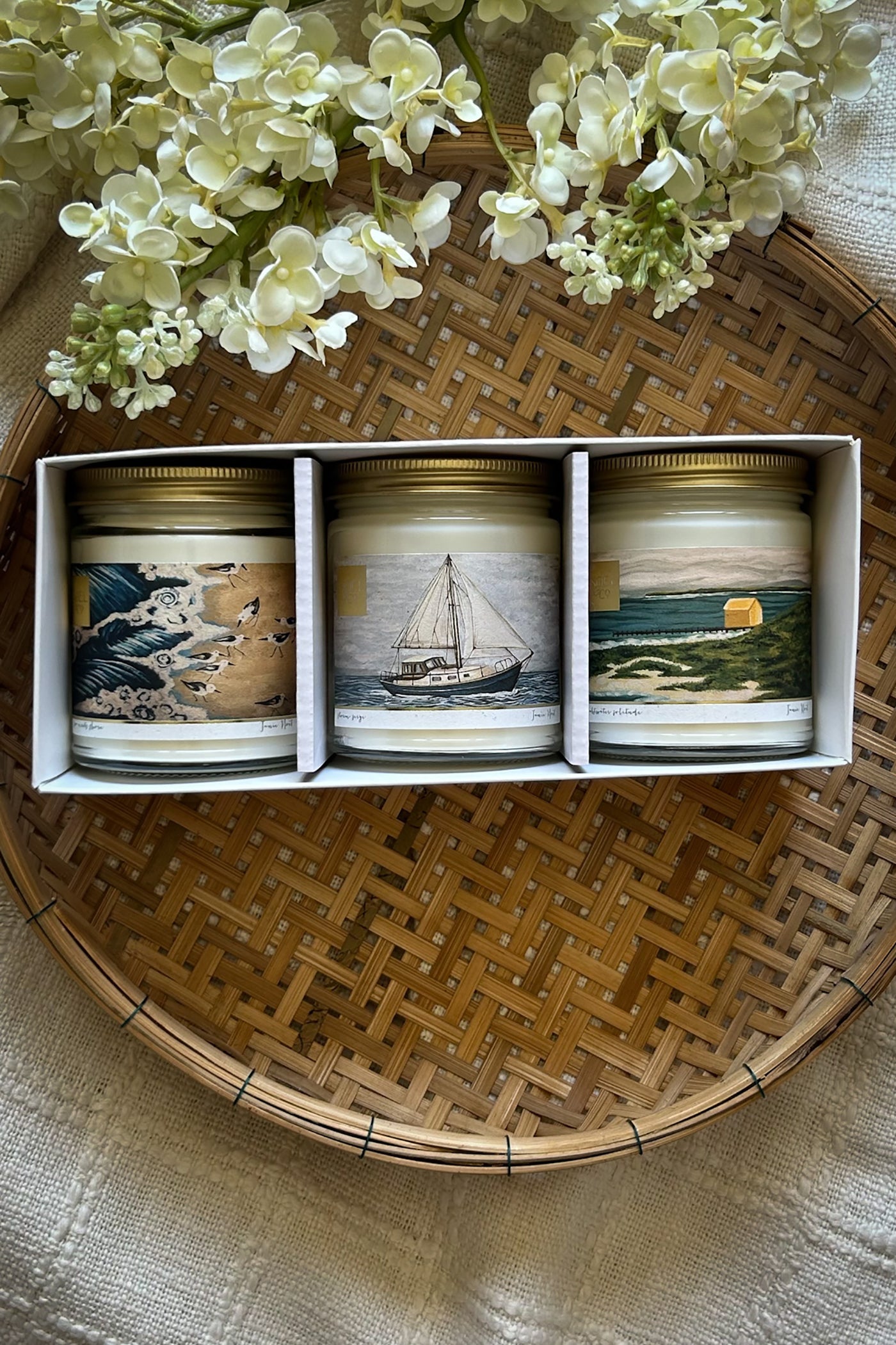 The Saltwater Collection