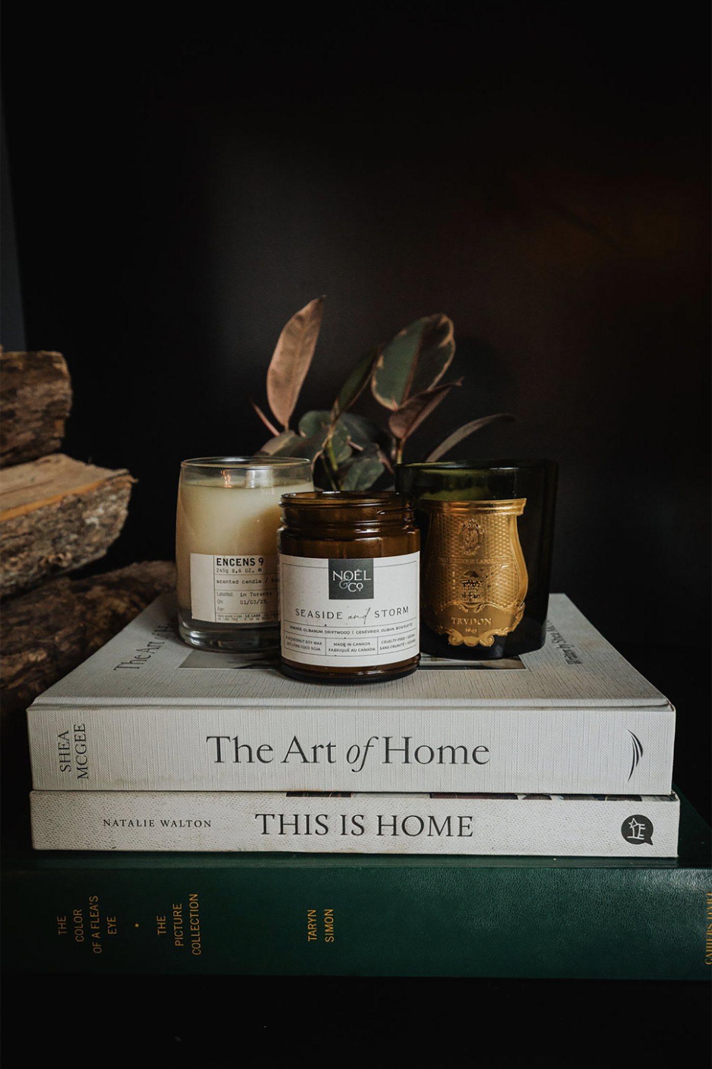 Stack of books with a Noel and Co candle and a plant on a dark background
