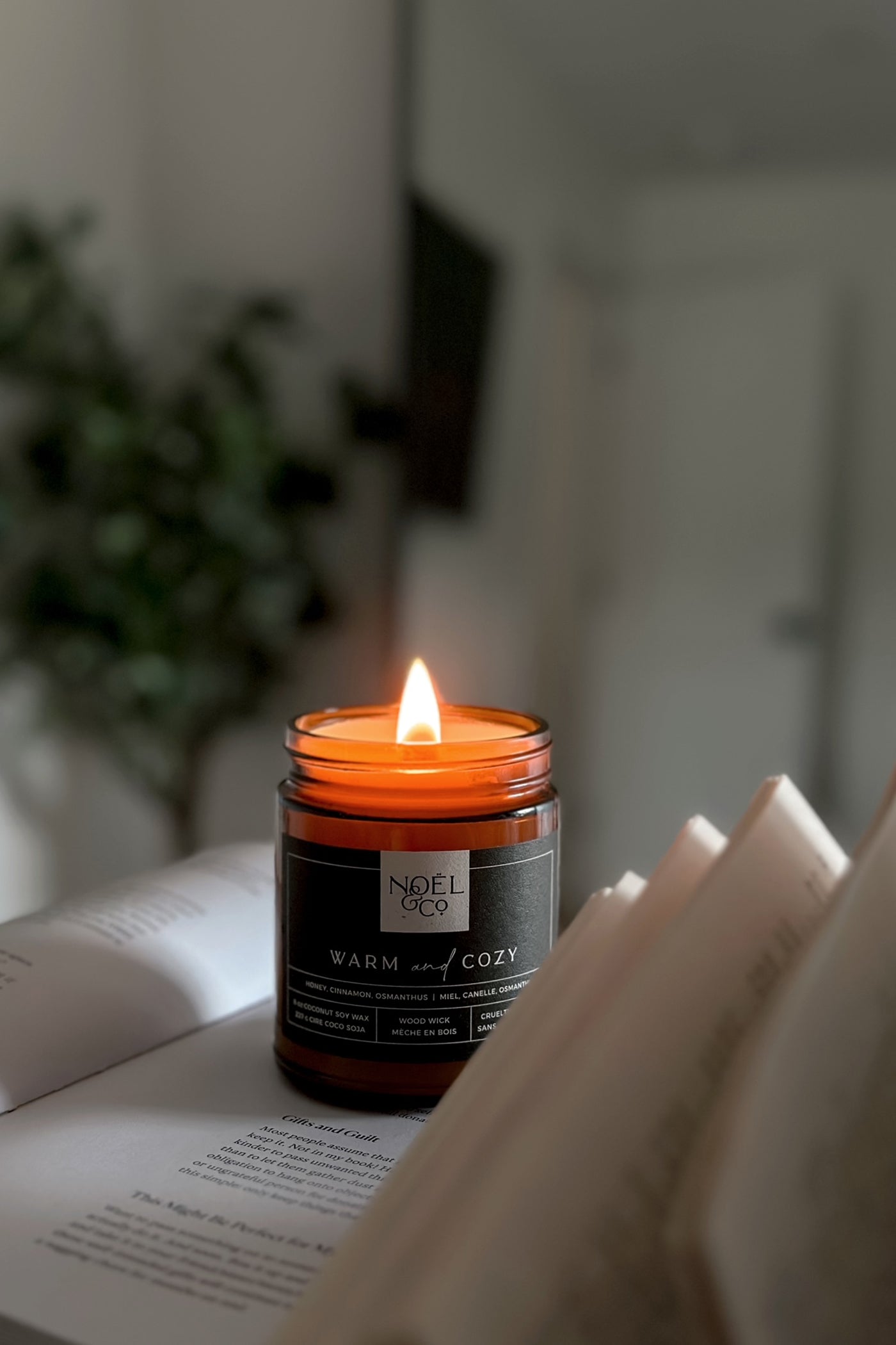 A lit Noel and candle, placed on an open book, with a warm glow filling the space.